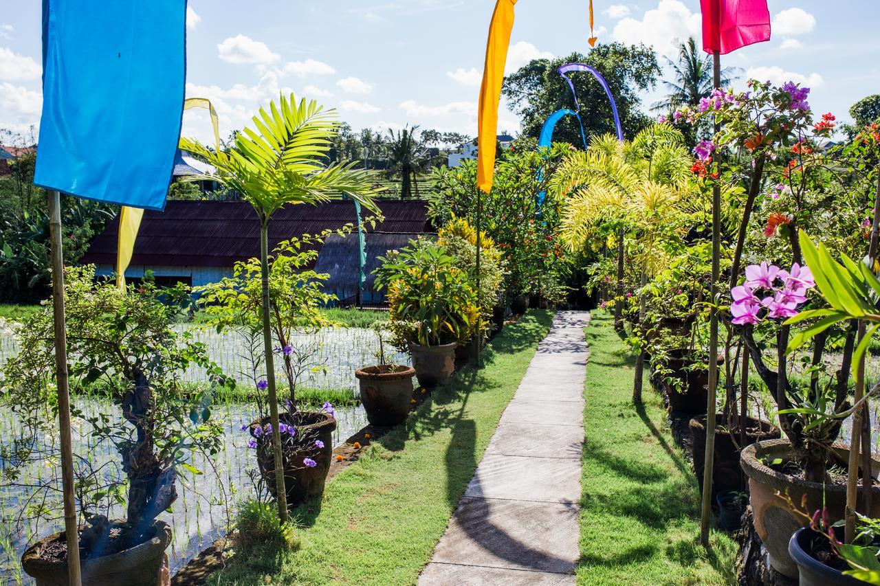 Matra Bali Guesthouse Canggu Εξωτερικό φωτογραφία